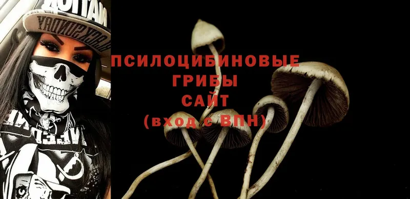 купить наркотики сайты  Рязань  Псилоцибиновые грибы мухоморы 