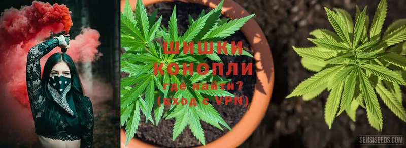 Канабис OG Kush  Рязань 